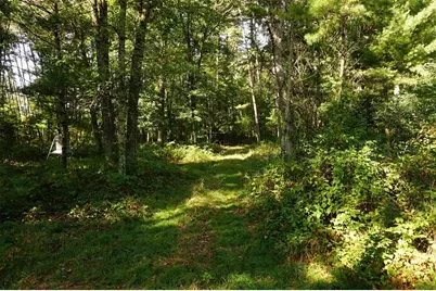 N9105 Flood -- Lot 5 Road, Adams, WI 54615 - Photo 5