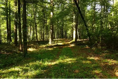 N9105 Flood -- Lot 5 Road, Adams, WI 54615 - Photo 13