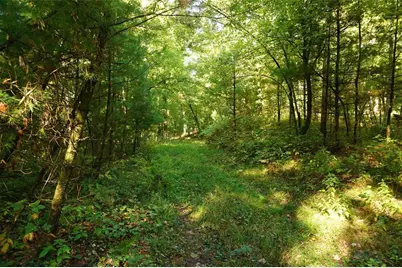 N9105 Flood -- Lot 5 Road, Adams, WI 54615 - Photo 11