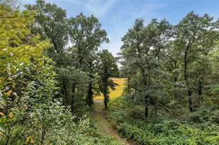 N44243 Bye-Nelson Rd, Osseo, WI 54758 - Photo 39