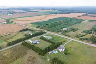 S7867 Windmill Dr, Augusta, WI 54722 - Photo 37