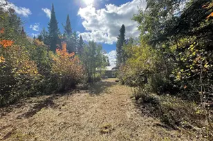 3674 W County Hwy W, Winter, WI 54896 - Photo 11