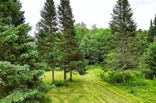 W7753 Old 14 Rd, Ladysmith, WI 54848 - Photo 9