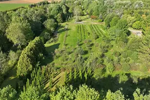 13941 98th Ave, Eagle Point, WI 54729 - Photo 25