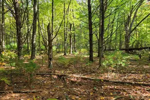 S10130 County Road H, Fairchild, WI 54741 - Photo 41