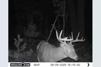 S10130 County Road H, Fairchild, WI 54741 - Photo 19