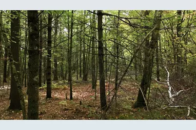 S10130 County Road H, Fairchild, WI 54741 - Photo 17