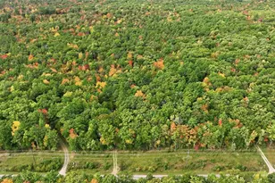 S10130 County Road H, Fairchild, WI 54741 - Photo 25