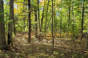 S10130 County Road H, Fairchild, WI 54741 - Photo 37