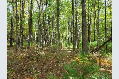 S10130 County Road H, Fairchild, WI 54741 - Photo 39