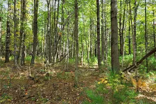 S10130 County Road H, Fairchild, WI 54741 - Photo 39
