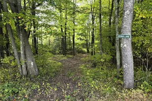 N 3368 Sawdust Rd, Bruce, WI 54819 - Photo 33