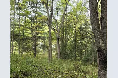 N 3368 Sawdust Road, Bruce, WI 54819 - Photo 25