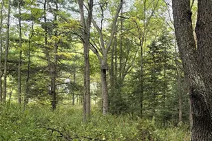 N 3368 Sawdust Rd, Bruce, WI 54819 - Photo 25