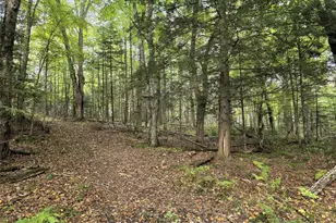 N 3368 Sawdust Rd, Bruce, WI 54819 - Photo 27