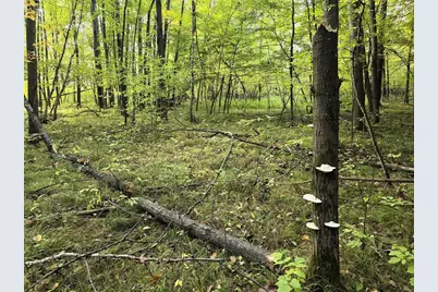 N 3368 Sawdust Road, Bruce, WI 54819 - Photo 23