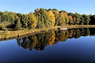 N 3368 Sawdust Rd, Bruce, WI 54819 - Photo 47