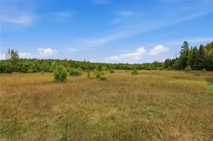12798N State Hwy 63, Hayward, WI 54843 - Photo 35