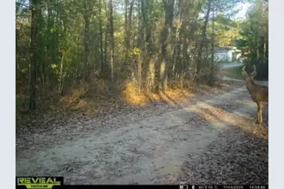 4146 Old County Road I, Black River Falls, WI 54615 - Photo 13