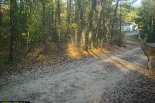 4146 Old County Road I, Black River Falls, WI 54615 - Photo 13