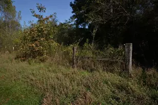 N47414 Co Rd Y, Eleva, WI 54738 - Photo 53