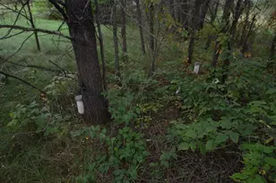 N47414 Co Rd Y, Eleva, WI 54738 - Photo 23