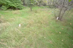 N47414 Co Rd Y, Eleva, WI 54738 - Photo 51