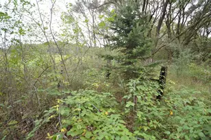 N47414 Co Rd Y, Eleva, WI 54738 - Photo 7