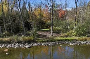 6680 Dam Rd, Winter, WI 54896 - Photo 5