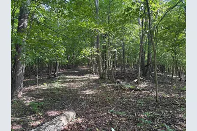 43167 Guthrie Drive, Gays Mills, WI 54631 - Photo 53