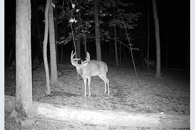 43167 Guthrie Drive, Gays Mills, WI 54631 - Photo 7