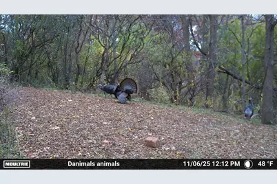 2780 Humboldt Road, Green Bay, WI 54311 - Photo 49