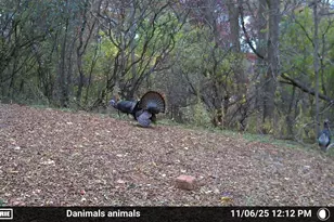 2780 Humboldt Rd, Green Bay, WI 54311 - Photo 49