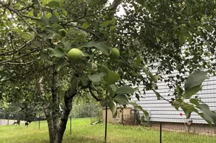 N9960 Meadowlark Ln, Crivitz, WI 54114 - Photo 41