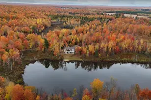 W5965 Gureski Rd, Pickerel, WI 54465 - Photo 29