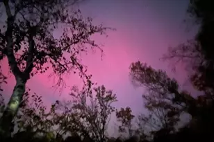 W5965 Gureski Rd, Pickerel, WI 54465 - Photo 31