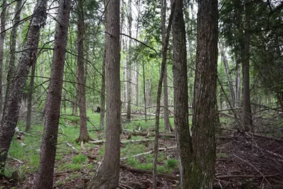 15 Mikuchonis Lane, Menominee, MI 49858 - Photo 5