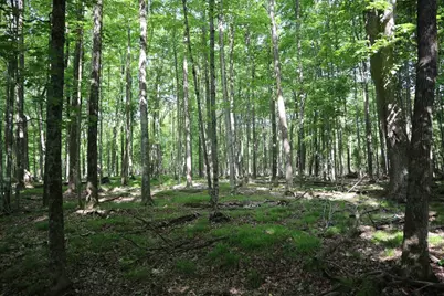 15 Mikuchonis Lane, Menominee, MI 49858 - Photo 9