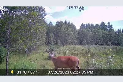 W2813 3-1 Lane, Daggett, MI 49821 - Photo 33