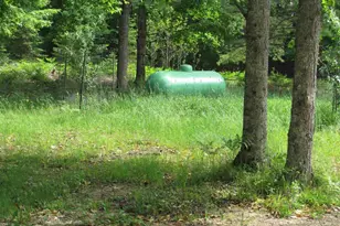 W2813 3-1 Ln, Daggett, MI 49821 - Photo 21