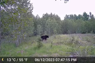 W2813 3-1 Ln, Daggett, MI 49821 - Photo 31