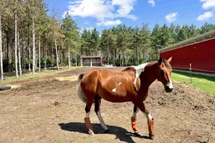 W4233 Porterfield Lake Rd, Porterfield, WI 54159 - Photo 7
