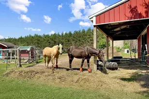 W4233 Porterfield Lake Rd, Porterfield, WI 54159 - Photo 21