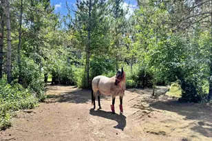 W4233 Porterfield Lake Rd, Porterfield, WI 54159 - Photo 29