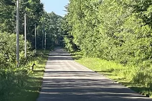 N18799 Old County A Rd, Dunbar, WI 54119 - Photo 25