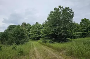 9028 County Rd N, Almond, WI 54909 - Photo 25