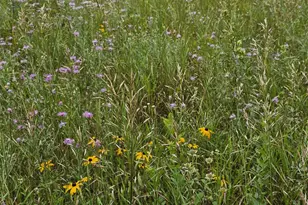 9028 County Rd N, Almond, WI 54909 - Photo 21