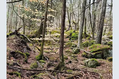 14980 Loon Rapids Road, Mountain, WI 54149 - Photo 37