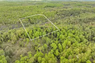 14980 Loon Rapids Rd, Mountain, WI 54149 - Photo 41