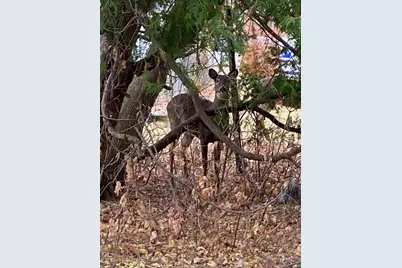 1629 Pernin Street, Marinette, WI 54143 - Photo 19